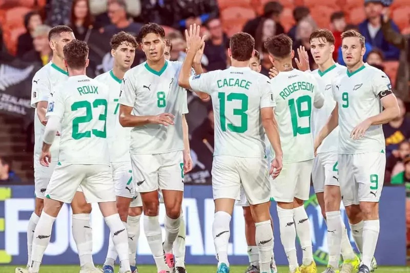 برنامه نیوزیلند برای فیفادی بعدی