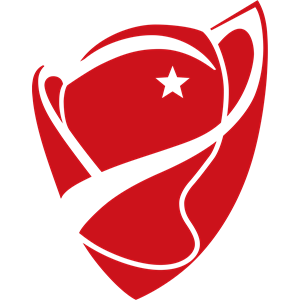 جام حذفی ترکیه