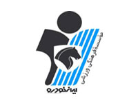 پیکان، پادشاه امیدهای تهران!