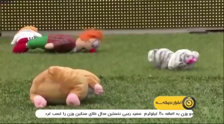 بارش بارانی از عروسک در ورزشگاه فاینورد