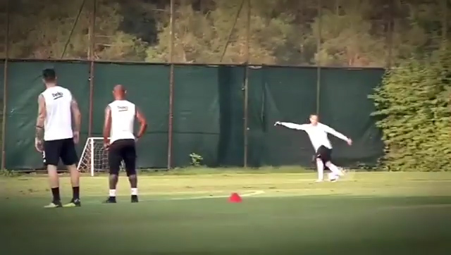 گل رابونای زیبای کوارشما به کاریوس در تمرینات