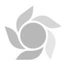 پخش از شبکه فارس