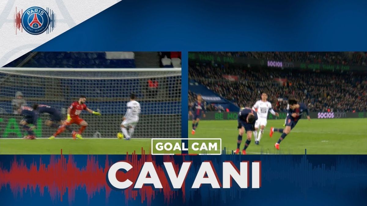 گل زیبای کاوانی به رن از تمام زوایا