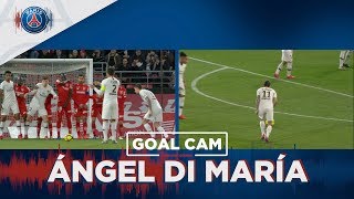 گل زیبای دیماریا به دیژون از زوایای مختلف