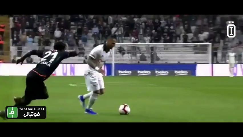 گل زیبای ریکاردو کوارشما به آلانیا