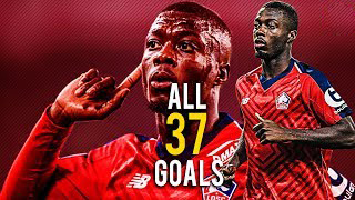 تمام 37 گل نیکولاس په په برای لیل (خرید احتمالی آرسنال)