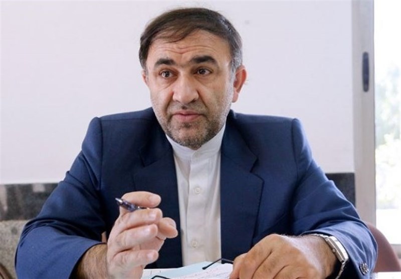 حسن زاده: اعلام رای درباره خسارات جانی و دیه بر عهده دادگستری است