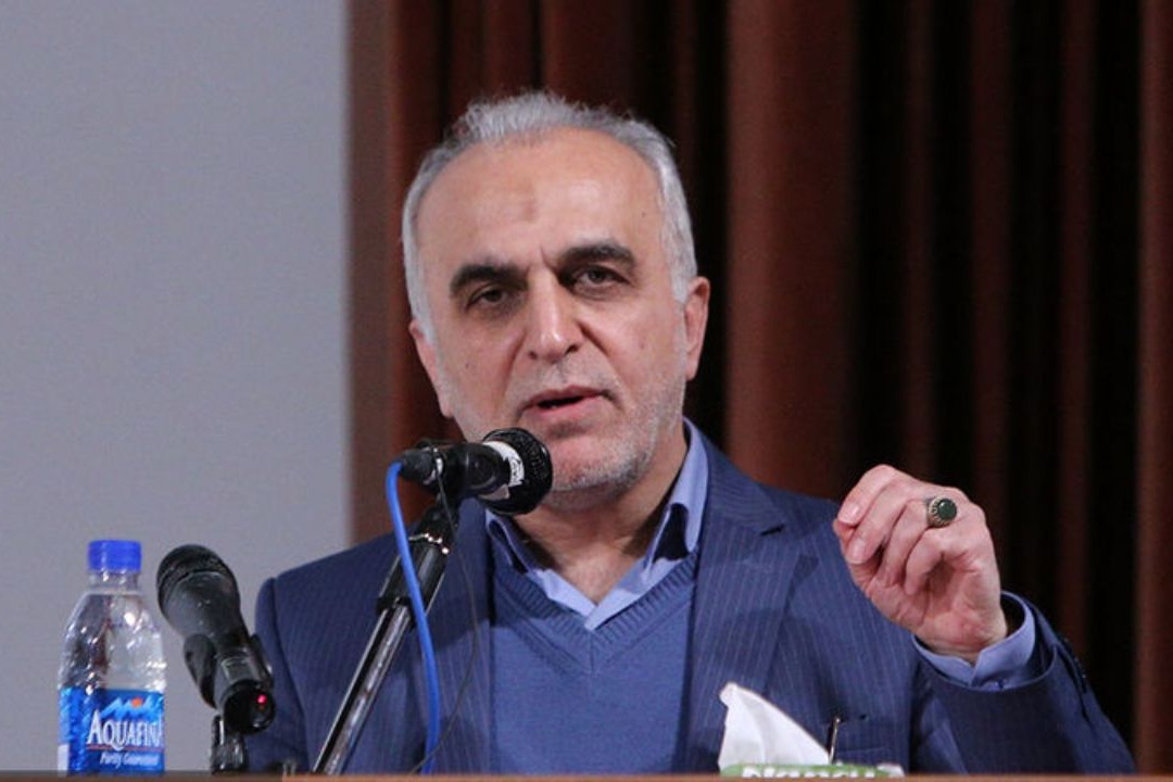 وزیر اقتصاد: خصوصی سازی سرخابیها مخالفانی دارد اما تصویب شده است