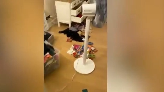 سرقت از خانه ریبری در شهر فلورانس ایتالیا