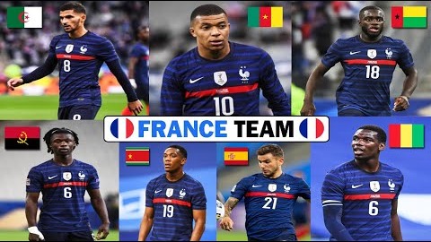 ملیت بازیکنان تیم ملی فرانسه