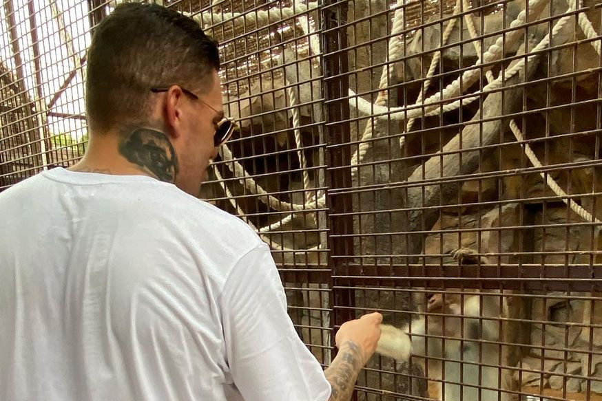 عکس؛ دروازهبان منچسترسیتی در محاصره میمونها!