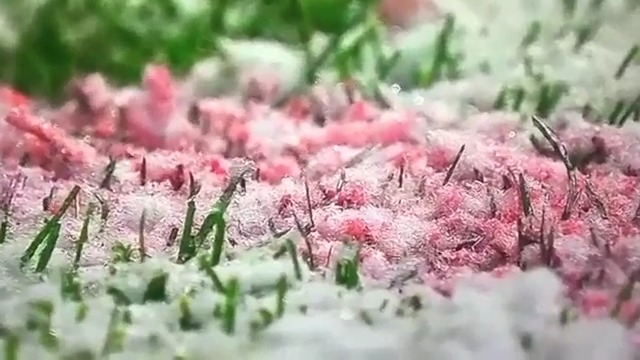 لغو بازی آتالانتا و ویارئال به دلیل شرایط نامساعد جوی