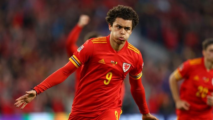 خلاصه بازی ولز 1-1 بلژیک