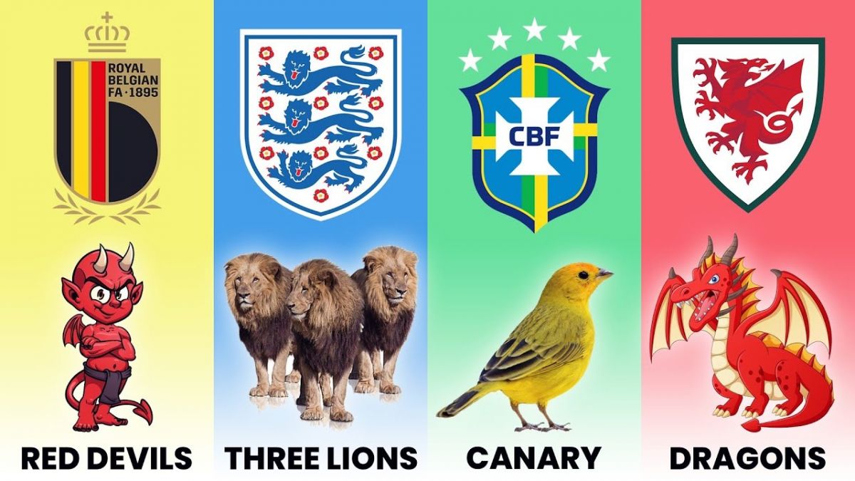 لقب تیم های حاضر در جام جهانی 2022