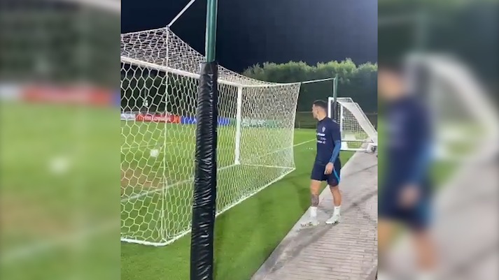 گل عجیب ایوان پریشیچ از پشت دروازه