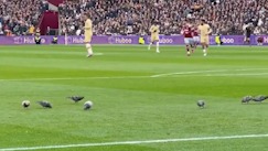 ورود پرنده ها به ورزشگاه لندن در جریان دیدار چلسی و وستهام