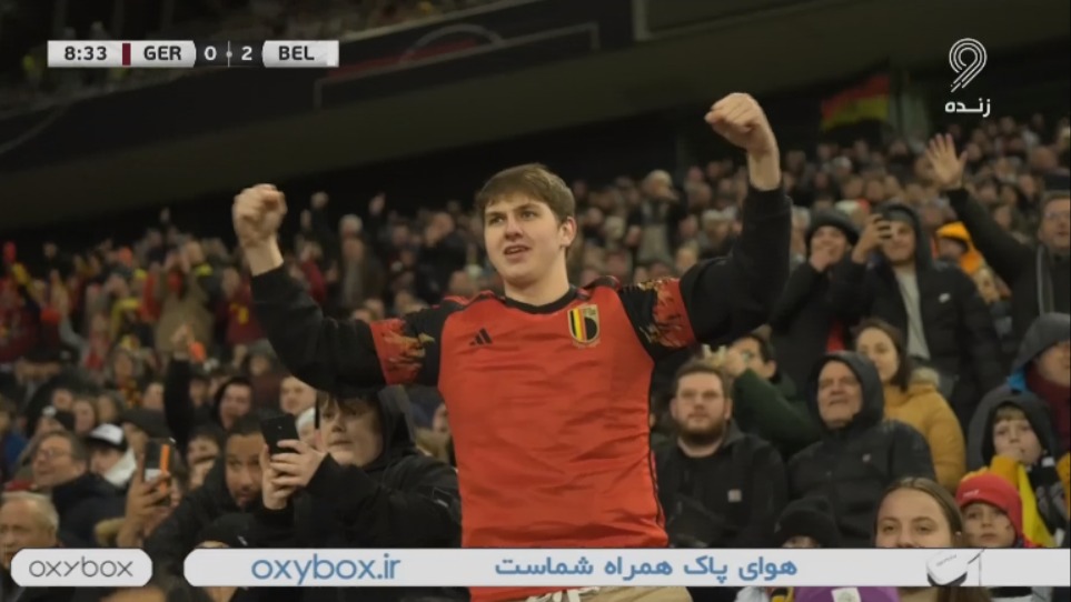 گل دوم بلژیک به آلمان (روملو لوکاکو)