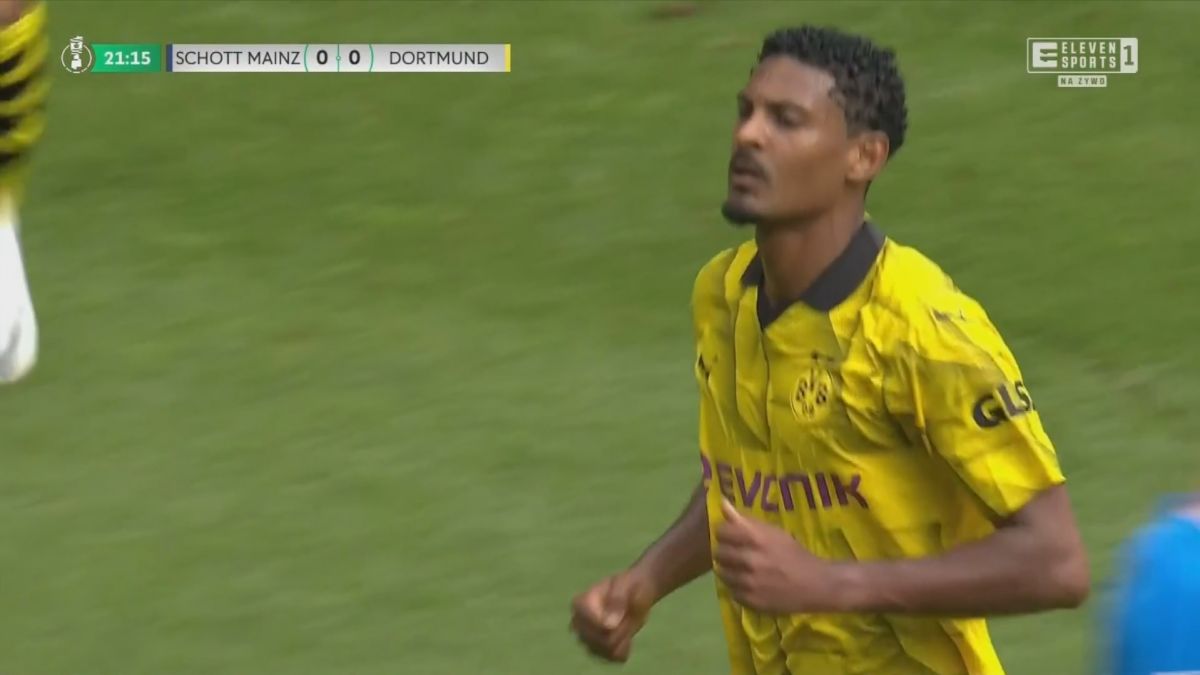 گل اول دورتموند به شات ماینز (هالر)