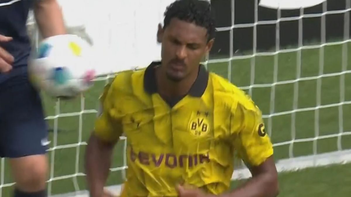 گل سوم دورتموند به شات ماینز (دبل هالر)