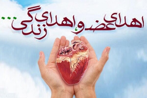 اهدای اعضای بدن بازیکن استقلال جنوب پس از مرگ مغزی
