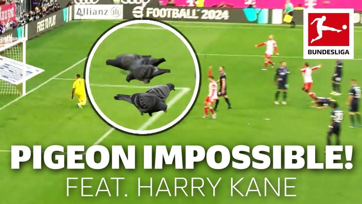 حضور همیشگی و عجیب کبوترها در بازیهای بوندسلیگایی بایرن مونیخ