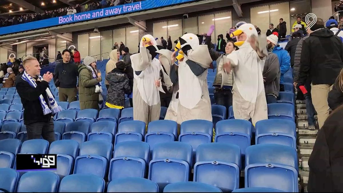 فوتبال 120/ حواشی بازی برایتون و برنتفورد