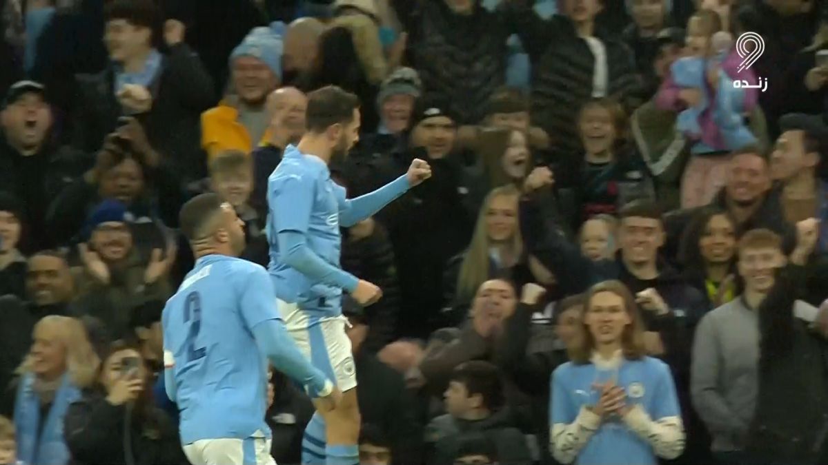 گل اول منچسترسیتی به نیوکاسل (برناردو سیلوا)