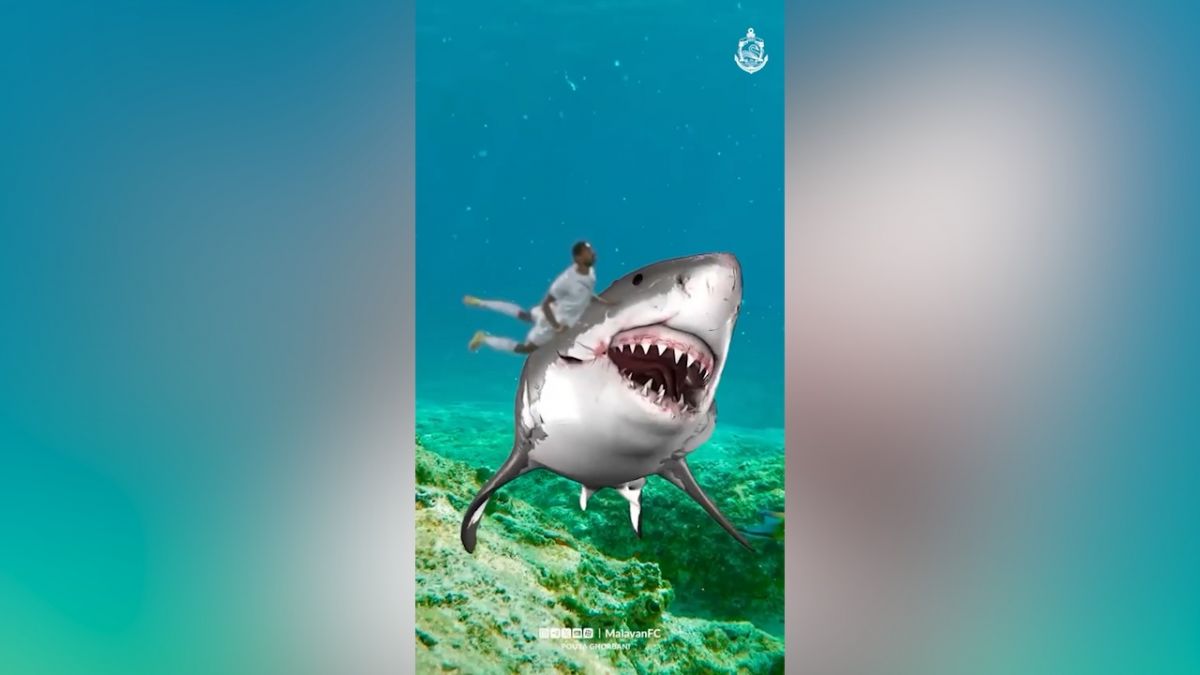 شوخی جالب صفحه رسمی باشگاه ملوان با محمدرضا رضایی مدافع تیم 😁