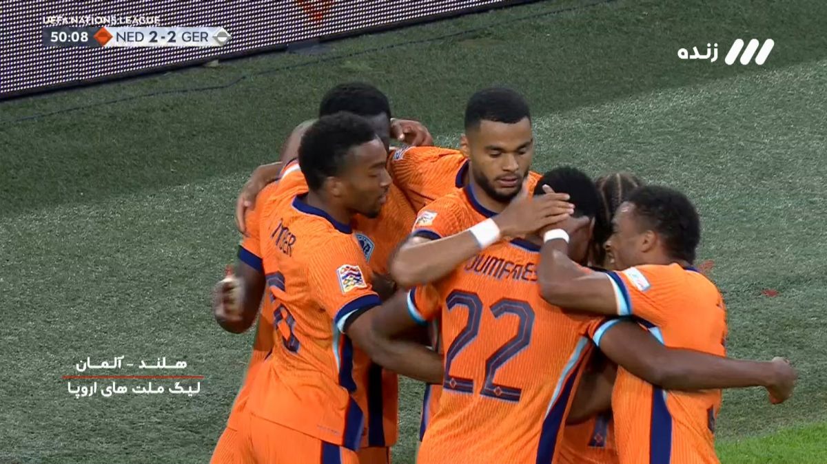 گل دوم هلند به آلمان (دنزل دومفریز)