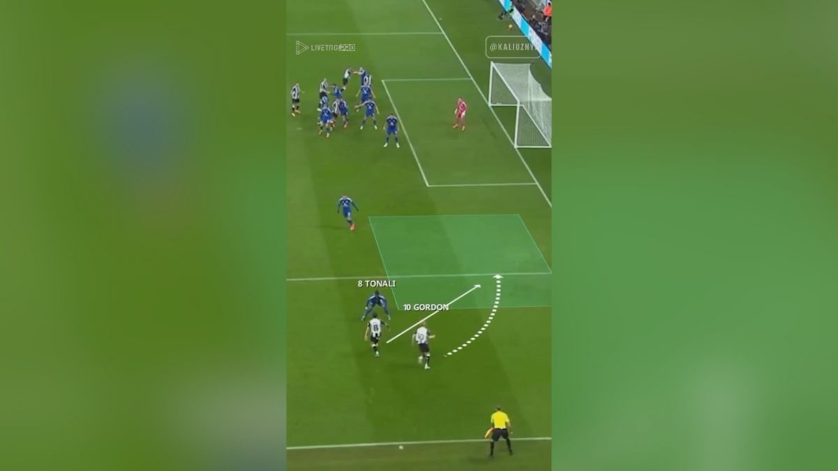 استفاده از علم ریاضی و هندسه برای رسیدن به گل!