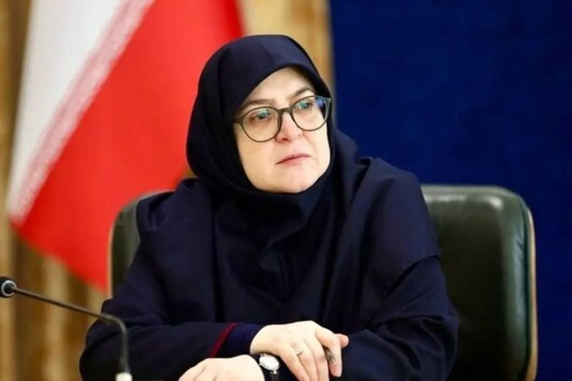 مهاجرانی: همچنان بر بستر اینترنت ملی هستیم