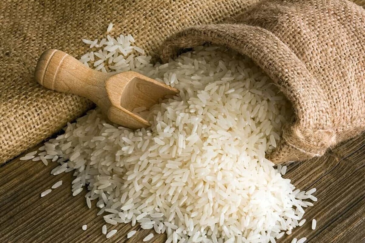 توزیع ۶۰ هزار تن برنج در کشور/ قیمت در روزهای آینده کاهش می‌یابد