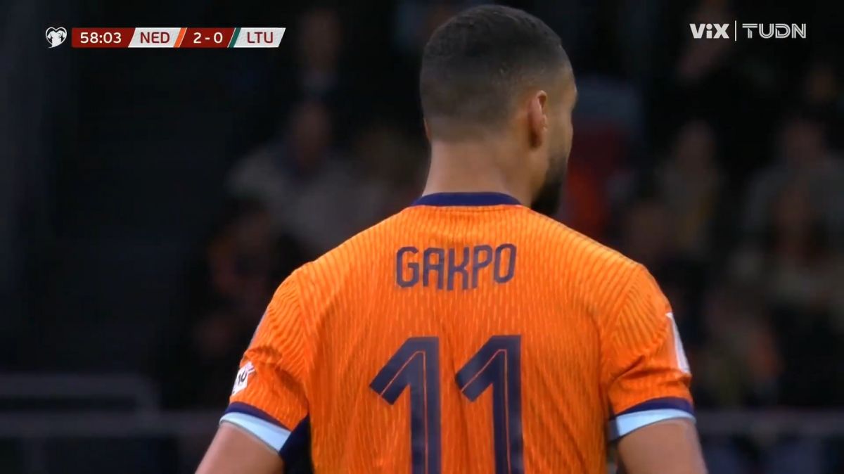 گل دوم هلند به لیتوانی (کودی گاکپو)