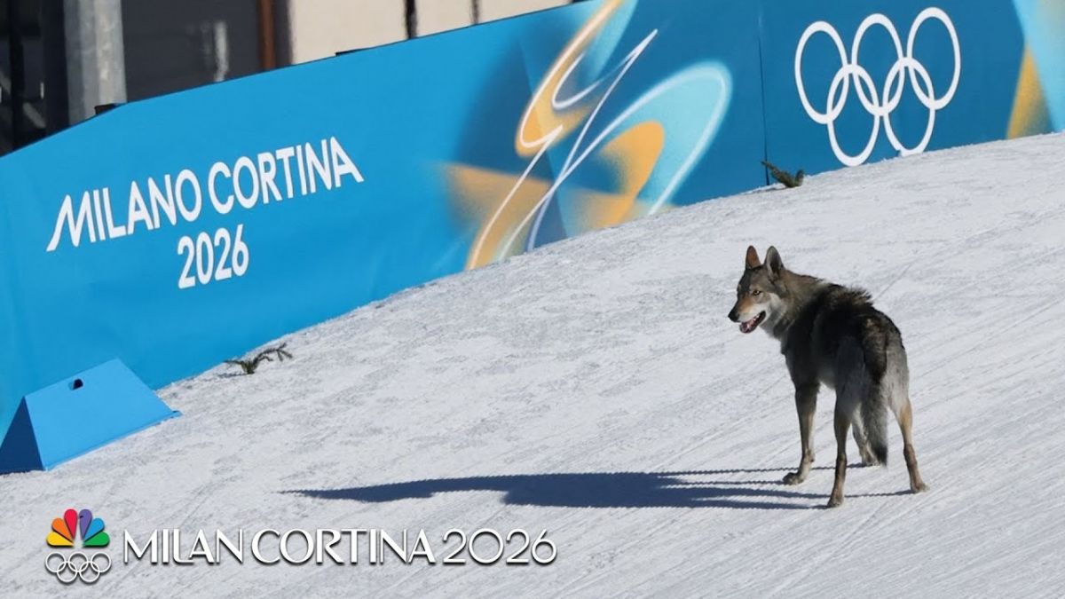 حضور یک مهمان ناخوانده در رقابتهای اسکی صحرایی المپیک زمستانی میلان