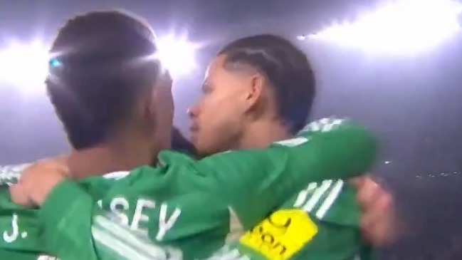 گل ششم نیوکاسل به قره باغ (مورفی)