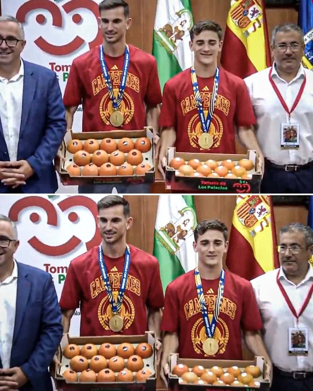 فابیان و گاوی با گوجه