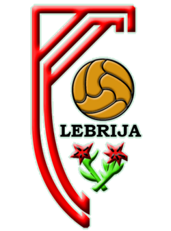 لوگو تیم فوتبال 