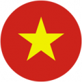 ویتنام (زیر17)