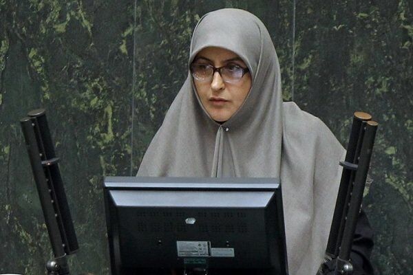 سیاوشی: خصوصیسازی سرخآبیها در مجلس دهم به سرانجام نمیرسد
