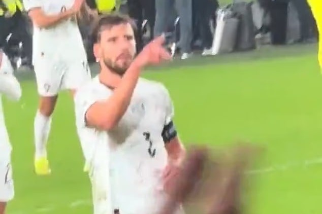 دو ستاره پرتغالی که با هواداران ایرلند درگیر شدند