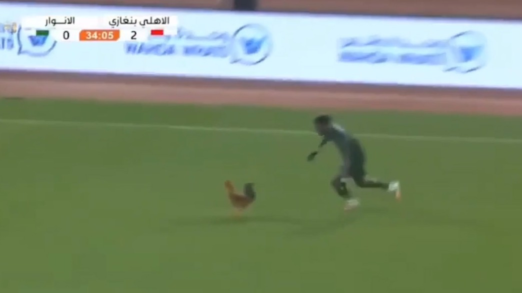 مهار و شکار خروس در زمین فوتبال در لیگ لیبی!