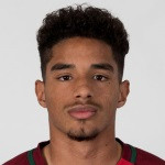 Rodrigo Fernandes Alflen