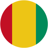 گینه